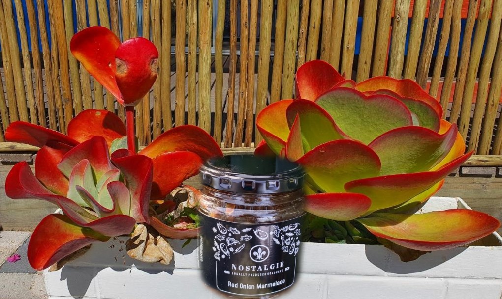Red Onion Marmalade – 290ml - Image 2